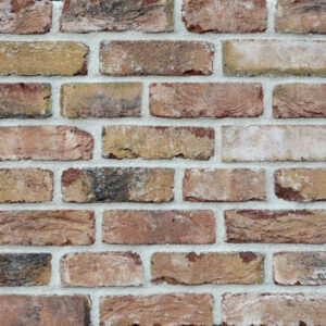 CEGŁA POSTARZANA, RĘCZNIE FORMOWANA OLD HERMITAGE WALL WDF