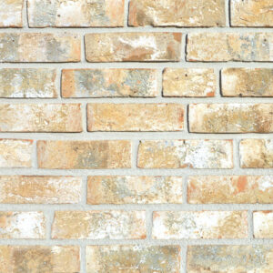 CEGŁA DEKORACYJNA RĘCZNIE FORMOWANA VIGO WDF