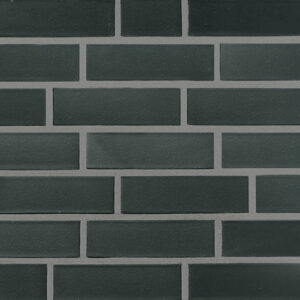 PŁYTKA KLINKIEROWA ROBEN CZARNA DF