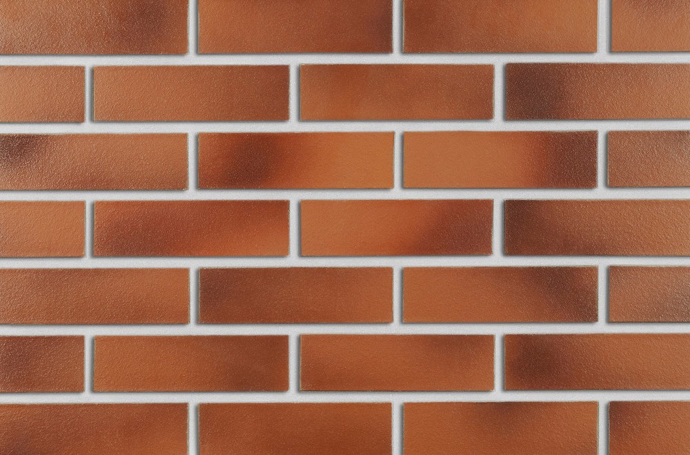 CEGŁA KLINKIEROWA ROBEN DARWIN NF 38