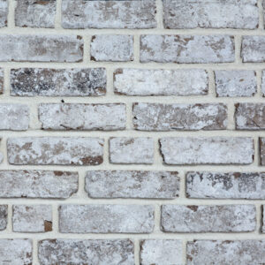 CEGŁA  RĘCZNIE FORMOWANA POSTARZANA SILVER NIGHT  WDF