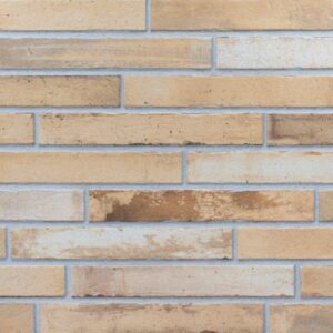 PŁYTKA KLINKIEROWA ELEWACYJNA  INTERBAU BLINK STONELINE LION