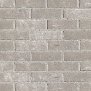 PŁYTKA KLINKIEROWA ELEWACYJNA ROBEN  AARHUS BIAŁO SZARA NF