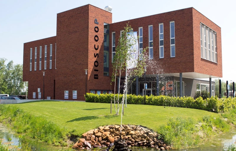 PŁYKA RĘCZNIE FORMOWANA VANDERSANDEN VIOLA LIGH WDF - obrazek 2