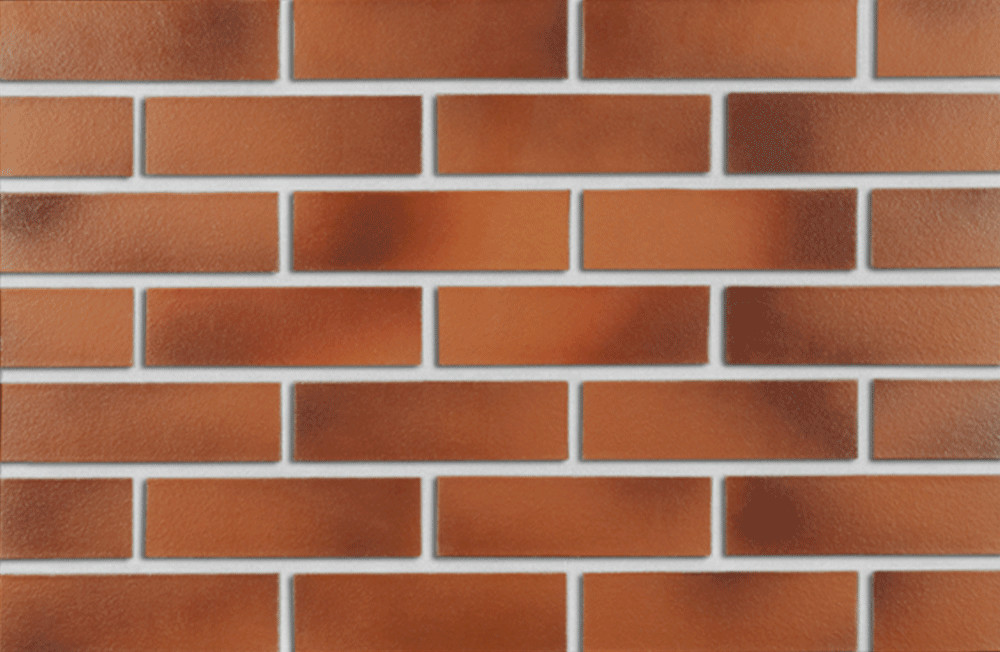 PŁYTKA KLINKIEROWA ELEWACYJNA ROBEN DARWIN NF38