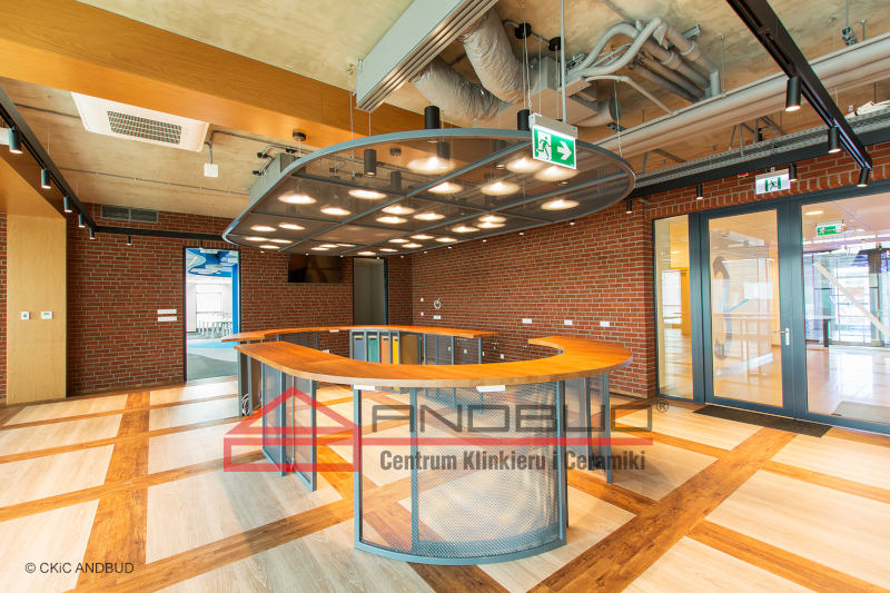 CEGŁA DEKORACYJNA RĘCZNIE FORMOWANA VANDERSANDEN BOSTON WDF - obrazek 3